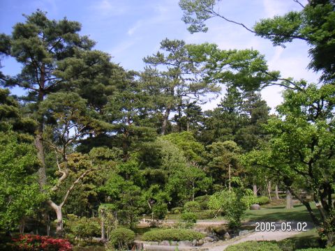 s_pict0144.jpg